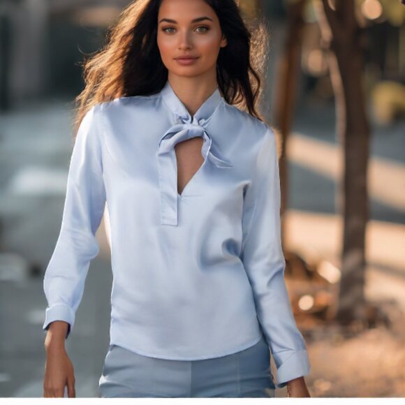 Valentino S.p.A Soft Powder Blue Chambray Long Sleeve Bow Blouse, Size 4 - Picture 3 of 10